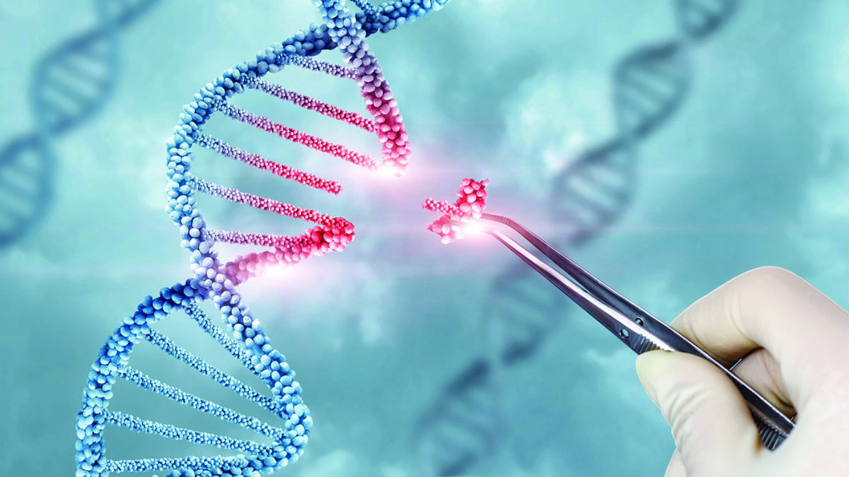 Launch of “Curative Gene Therapy” for Thalassemia Patients in the UAE