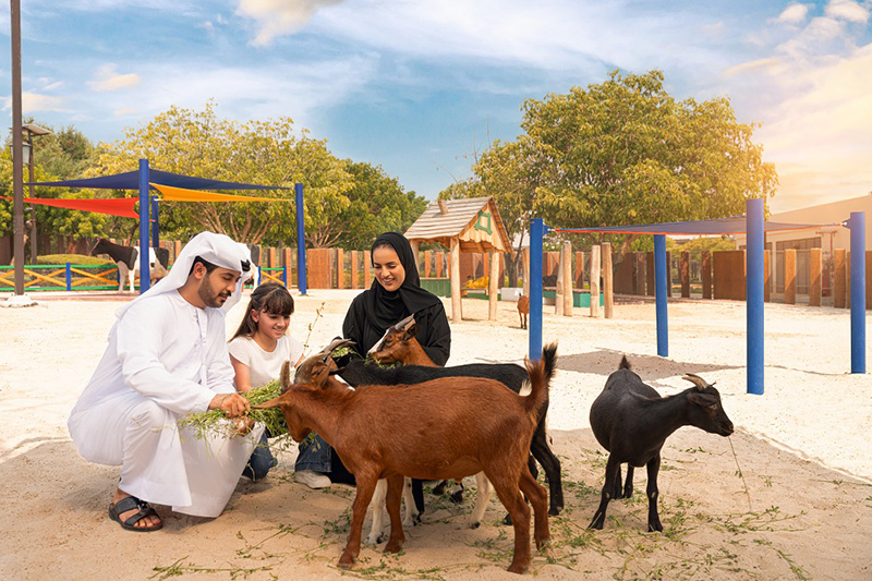 Dubai Safari Park