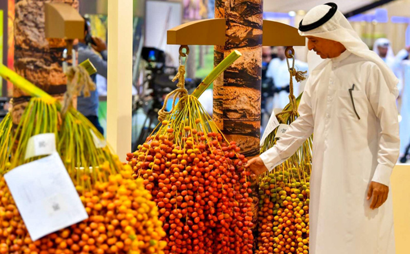 House Date Palm Cup