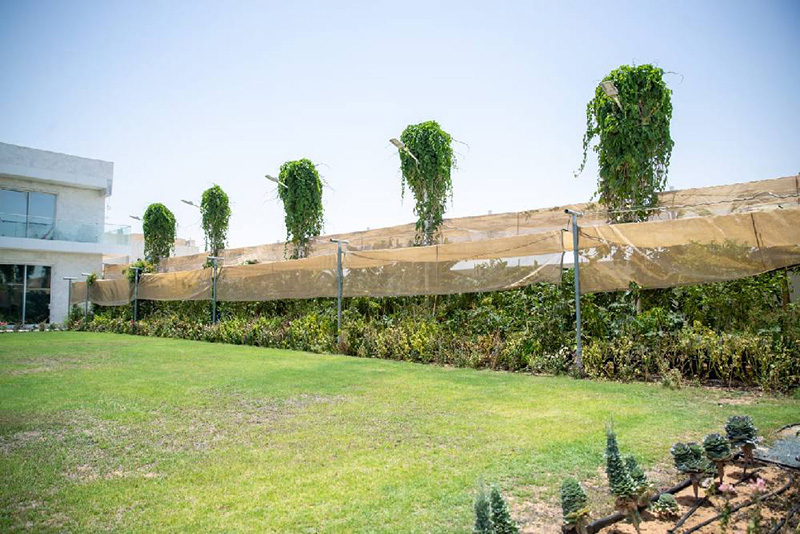 Dubai Municipality Launches Most Beautiful Sustainable Home Garden Competition