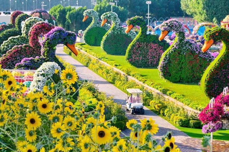 Spring Uae Dubai Miracle Garden… Where Every Step Feels Like Spring – UAE Human ...