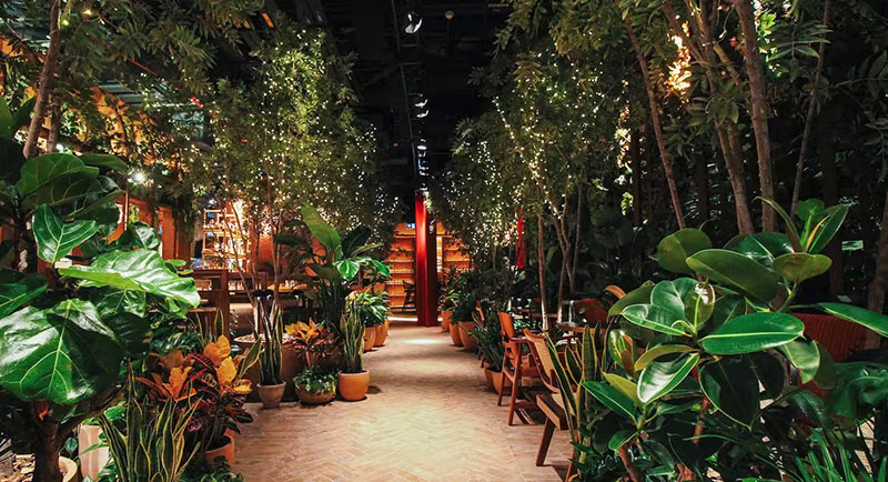 Best Dining Experiences in Dubai This July 2026