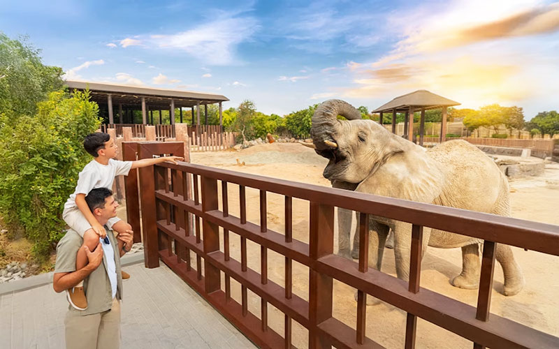 Dubai Safari Park Prepares for Season 8 with New Experiences and Stronger International Reach