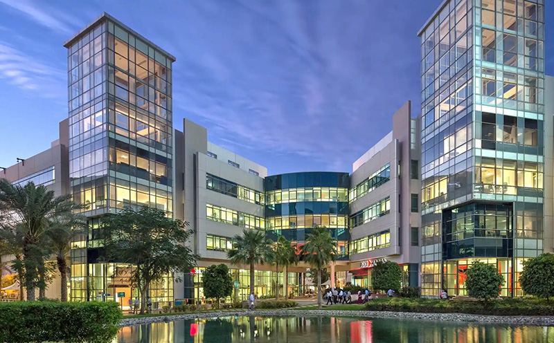 مدينة دبي للتعهيد