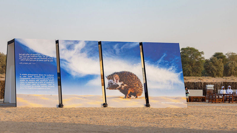 مهرجان المرموم: فيلم في الصحراء