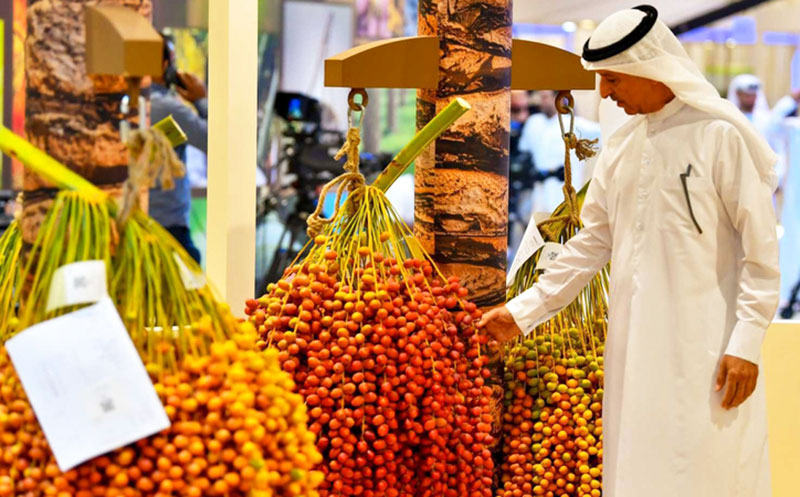 شوط تمرة البيت يثري دبي للرطب 2026 ويعزز مكانة النخلة في البيت الإماراتي