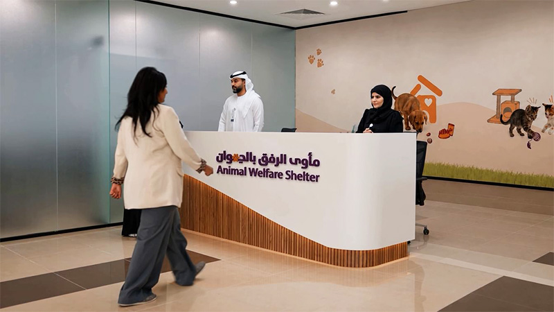مأوى الحيوانات الأليفة في دبي يفتح أبوابه في ورسان مع إطلاق منصة رقمية لتسهيل التبني