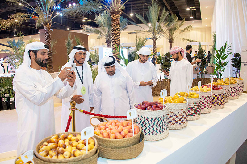 دبي للرطب 2026.. النخلة في قلب التراث والاستدامة والمشاركة المجتمعية